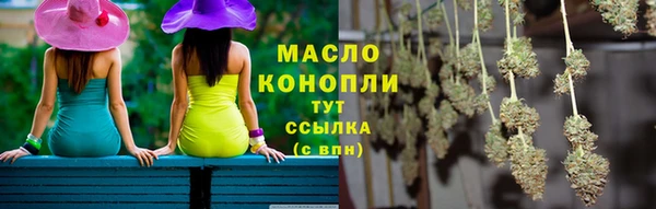 дмт Алексин