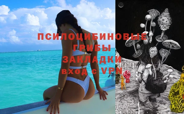 дмт Алексин