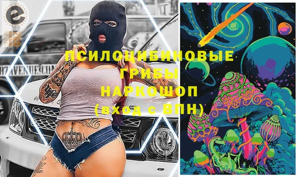 apvp Алексеевка