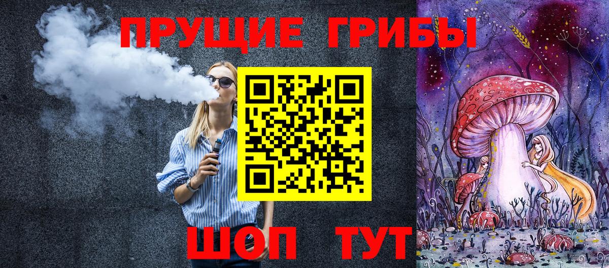 Псилоцибиновые грибы Psilocybe Елабуга