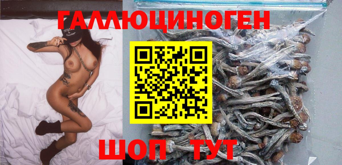 Елабуга  Галлюциногенные грибы Psilocybe  Вход с VPN 