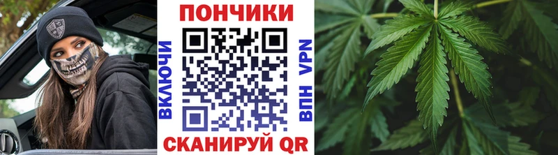 где можно купить наркотик Елабуга KRAKEN зеркало Бошки Шишки сатива